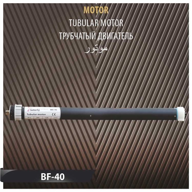 BF-40 MOTOR